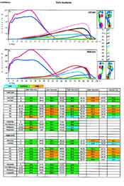 gaitscan analysis report